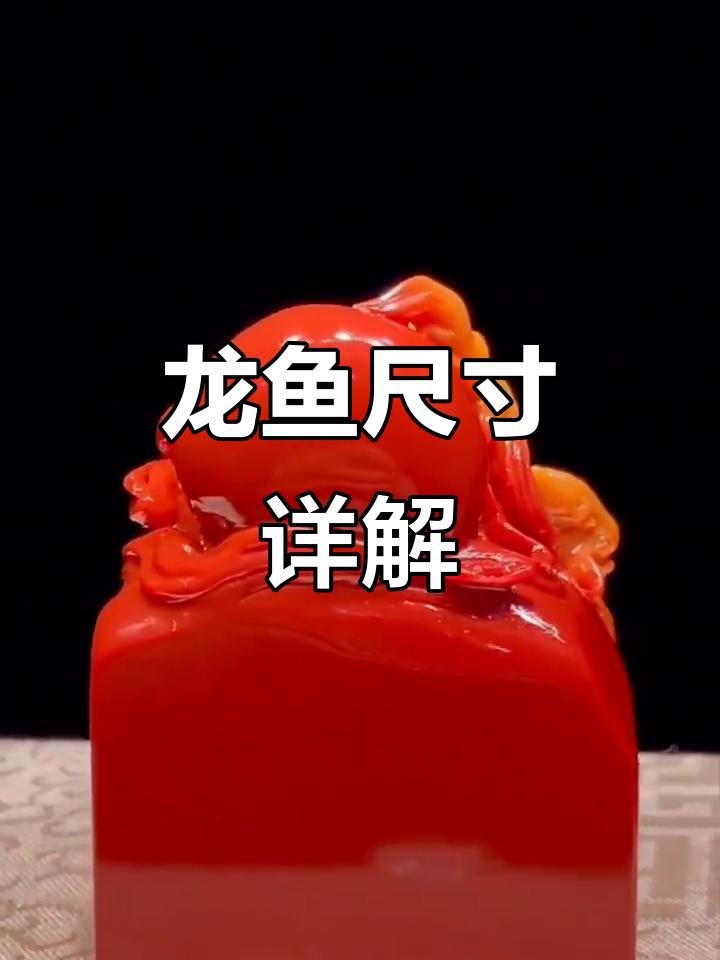 龍魚擺件有哪些尺寸可選