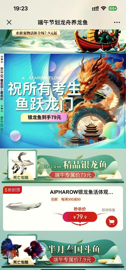 白銀龍魚價格表圖片