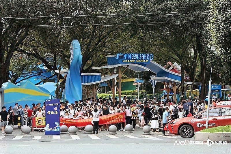 廣州哪個(gè)海洋館比較好