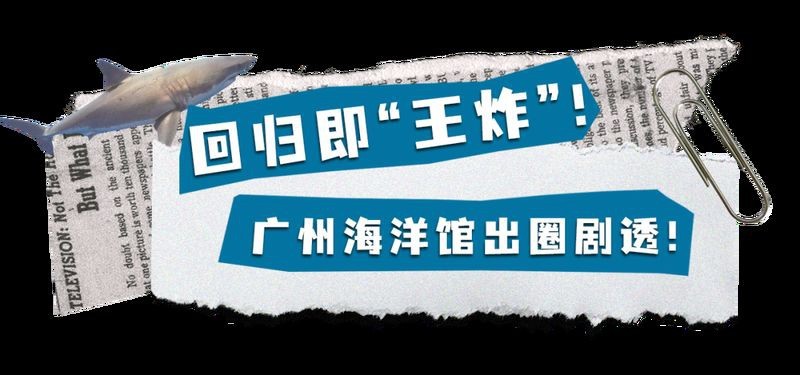 廣州哪個(gè)海洋館比較好
