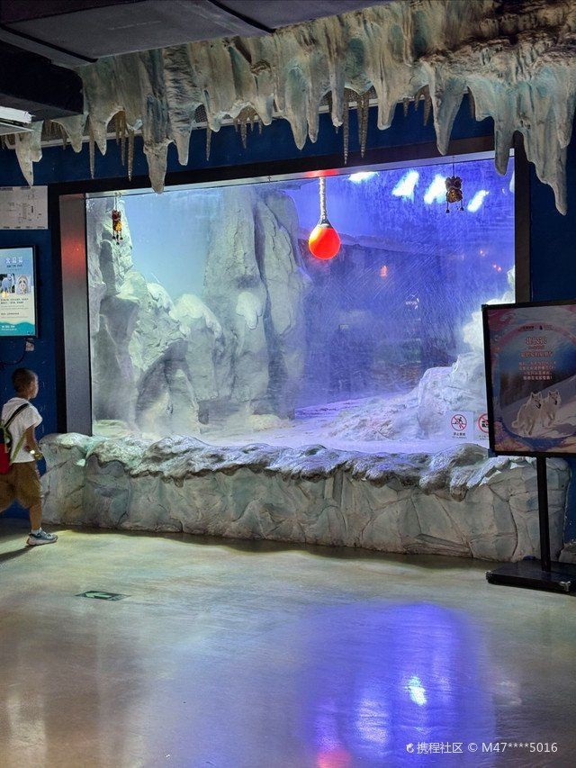 廣州哪個(gè)海洋館比較好
