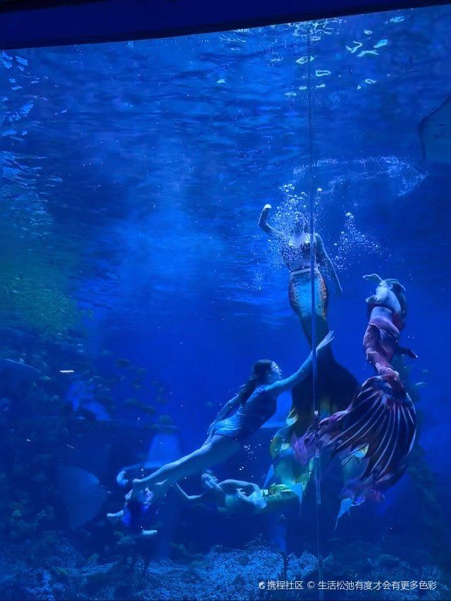 廣州哪個(gè)海洋館比較好