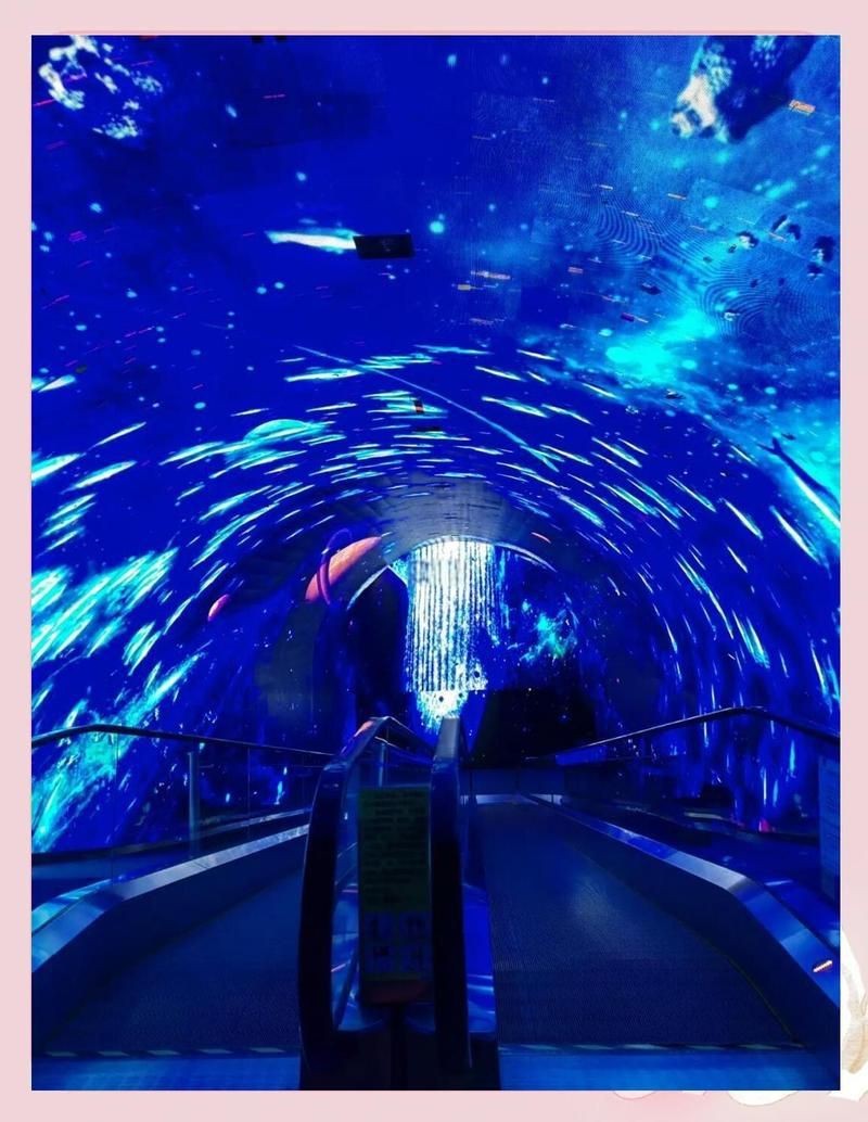 廣州哪個(gè)海洋館比較好