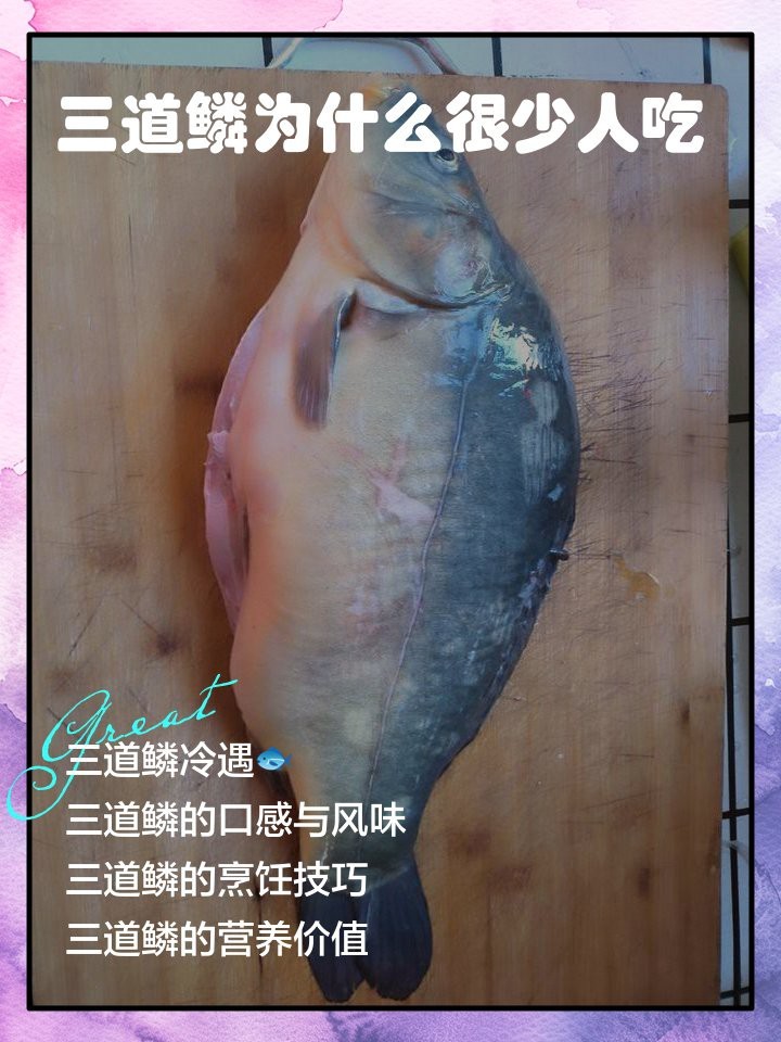 三道鱗為什么很少人吃 三道鱗為什么很少人吃 龍魚論壇 第2張