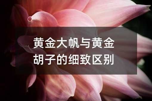 胡子魚和大帆有啥區別 胡子魚和大帆有啥區別 龍魚論壇 第5張