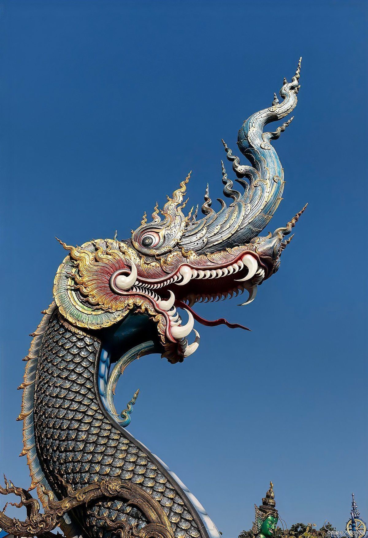 鱉在玄學中的寓意