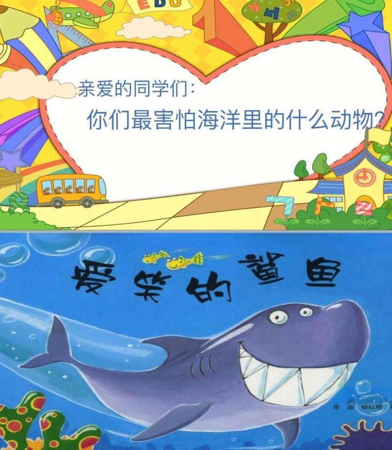鯊魚寵物多少錢一只