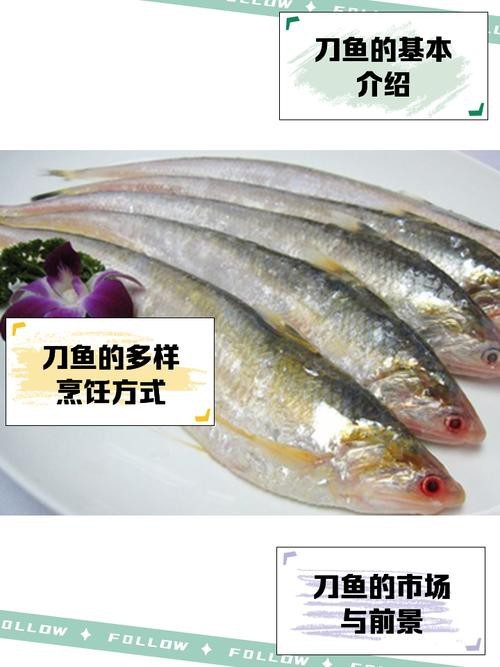 刀魚的牙齒圖片