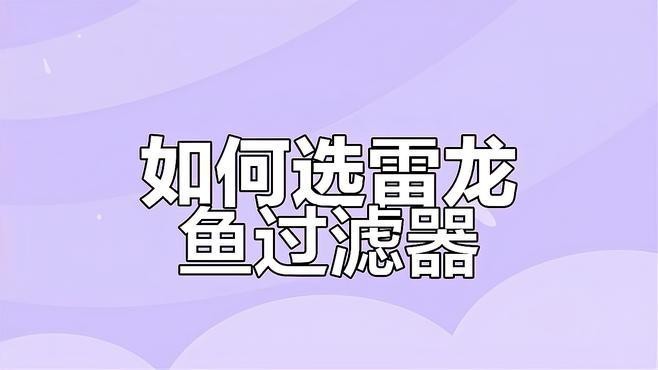 鬼王雷龍魚需要多大的過濾系統(tǒng)？