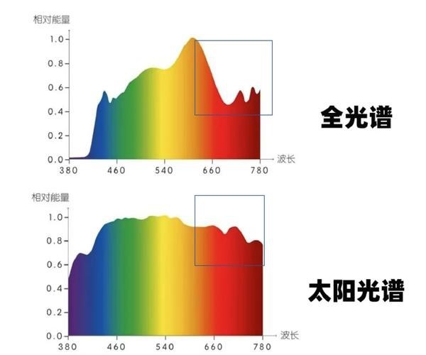 如何判斷LED燈的顯色指數？