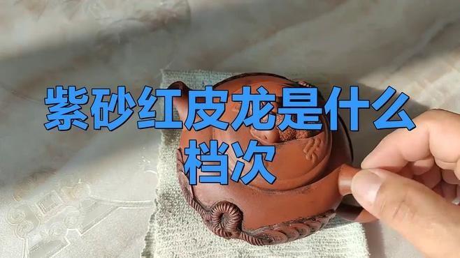 紅皮龍屬于什么檔次