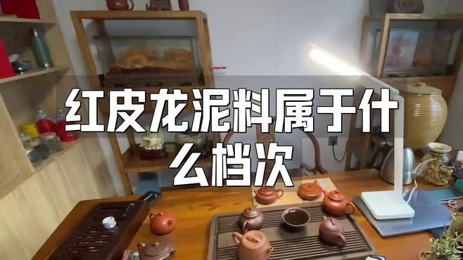 紅皮龍屬于什么檔次