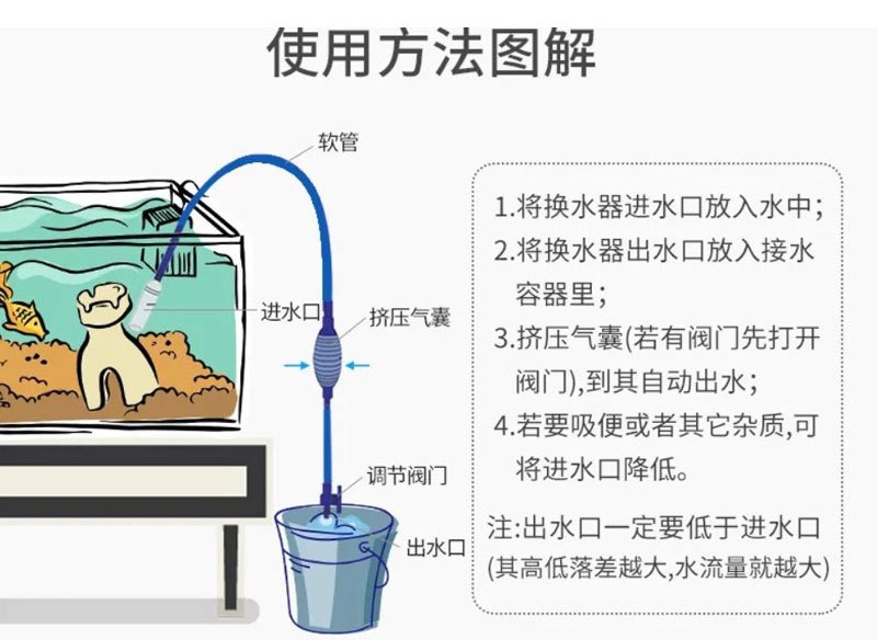 剛買回來的銀龍魚怎么養(第一次養銀龍魚怎么養)