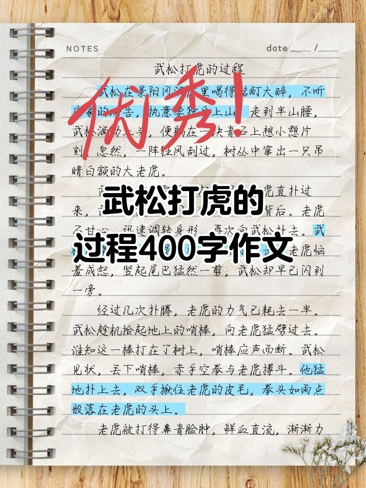 殺老虎視頻全過程屠宰場 殺老虎視頻全過程屠宰場 龍魚論壇 第5張