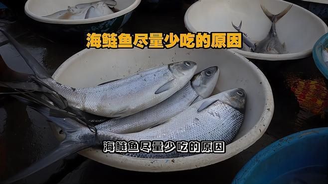 海鰱魚盡量少吃的原因