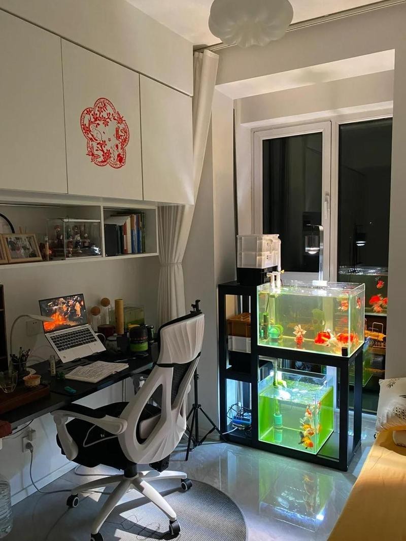 一進門看見魚就斷是吉兆嗎