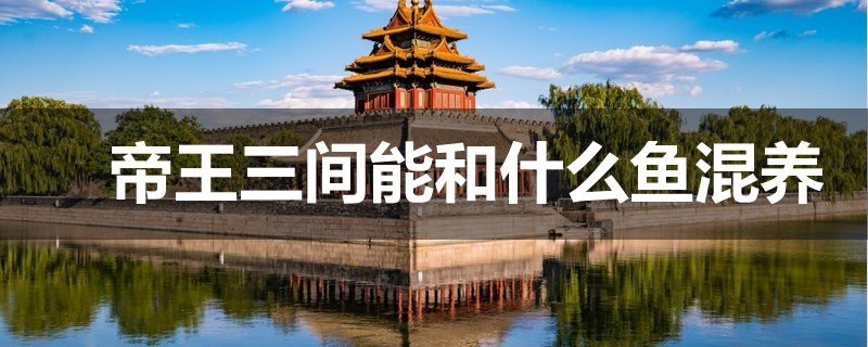 帝王三間魚混養(yǎng)方法