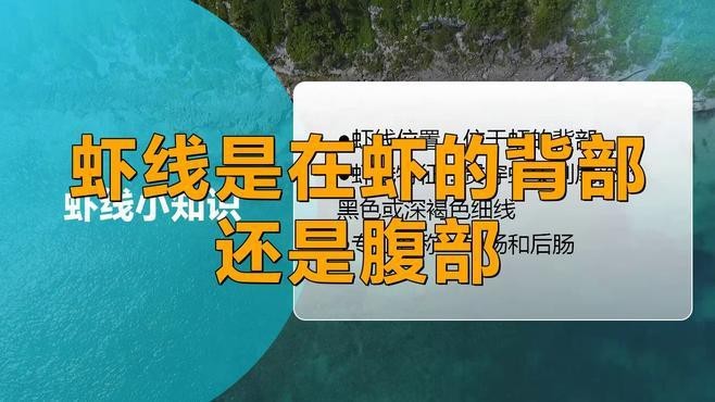 如何處理紅龍蝦的蝦線？