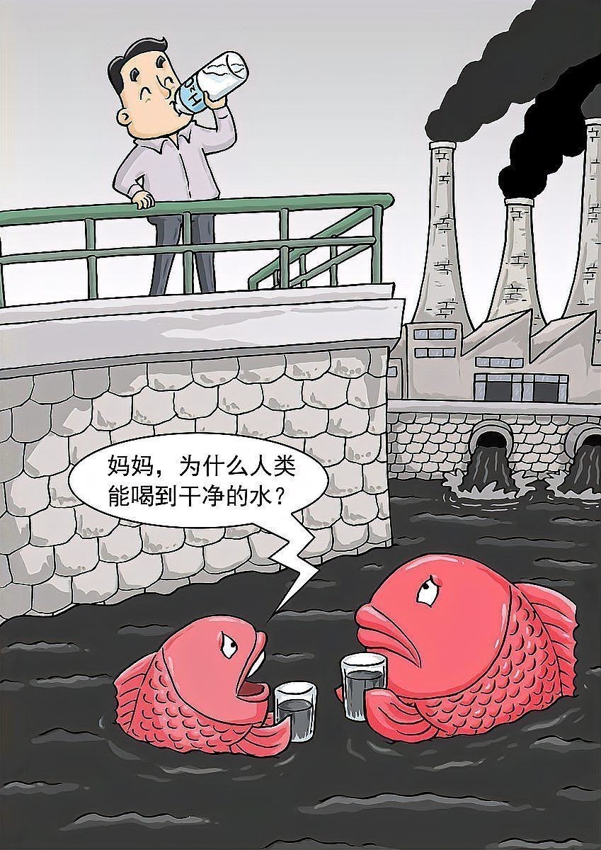 祥龍魚場有哪些專利品系，***高效祥龍魚場專利品種專利品種介紹