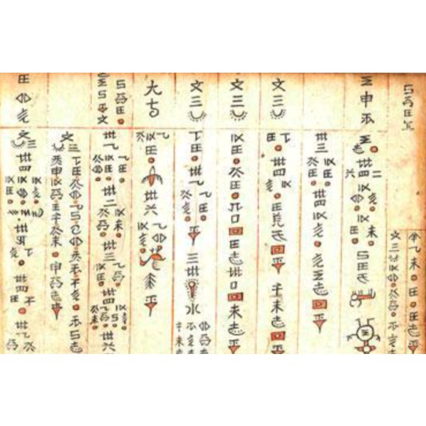 水族的書籍書本