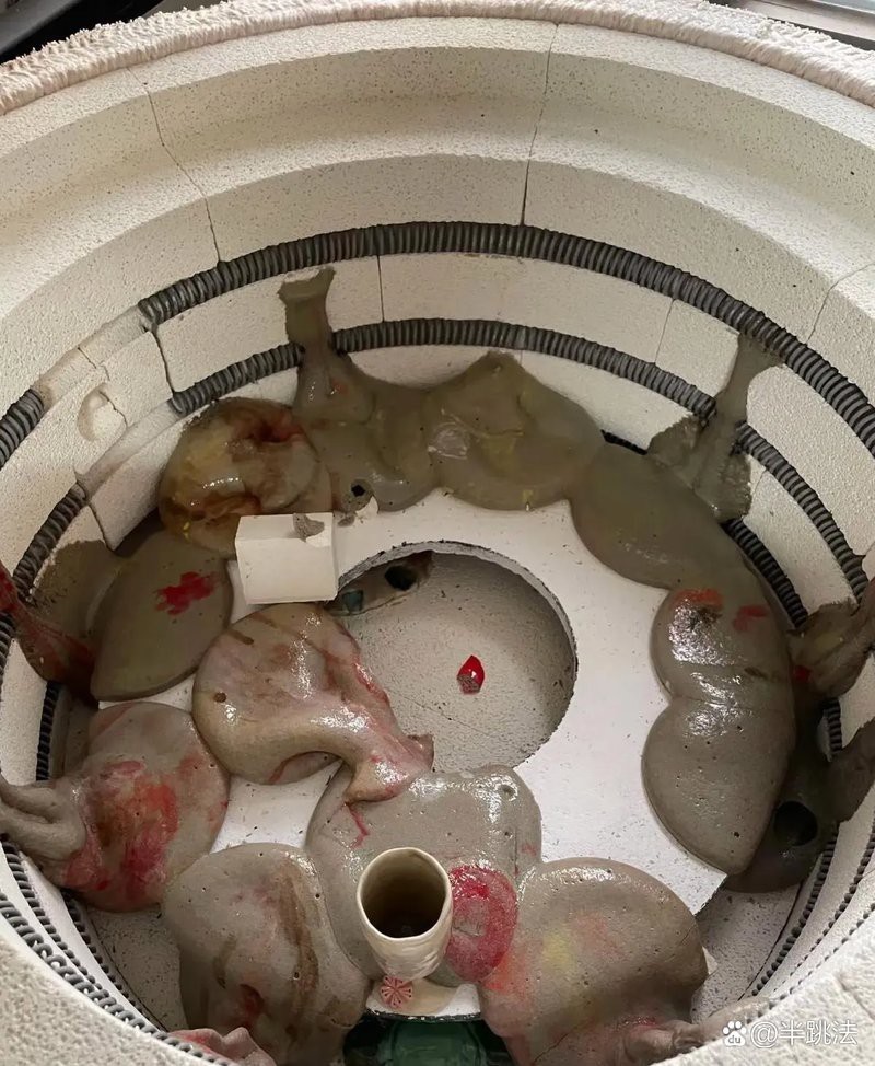 蠑螈腿爛了能自愈嗎 蠑螈腿爛了能自愈嗎 龍魚論壇 第4張