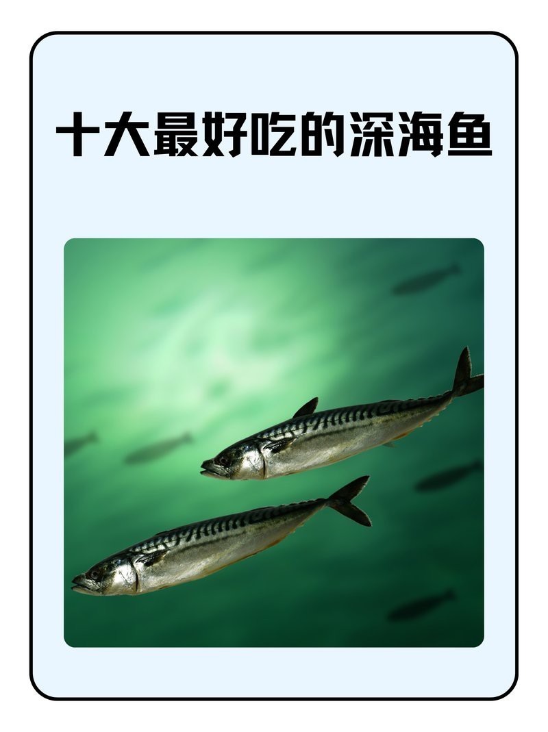 十大刺身魚排名前十