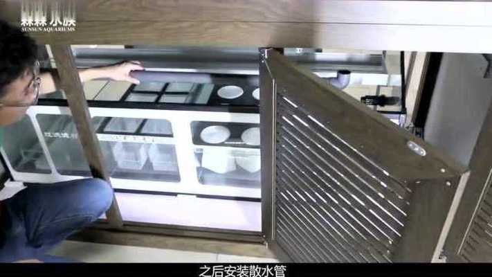 銀龍魚總是撞缸怎么辦（銀龍魚總是撞缸怎么辦呢）