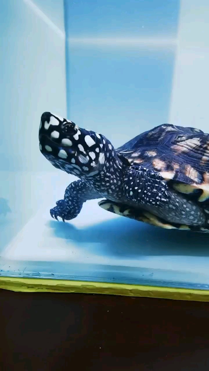 換缸