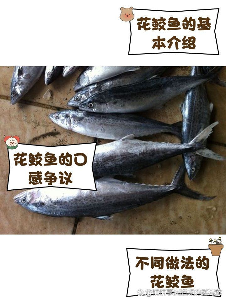 花仙魚和秋刀魚的區別