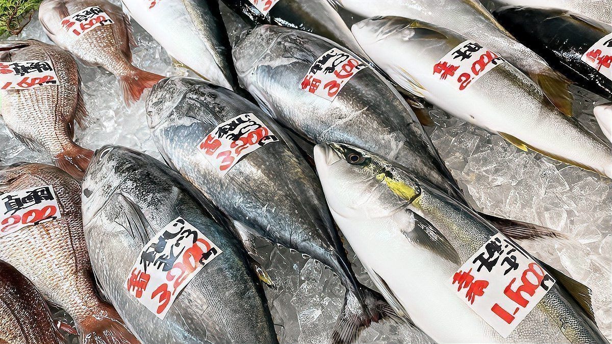 花仙魚和秋刀魚的區別