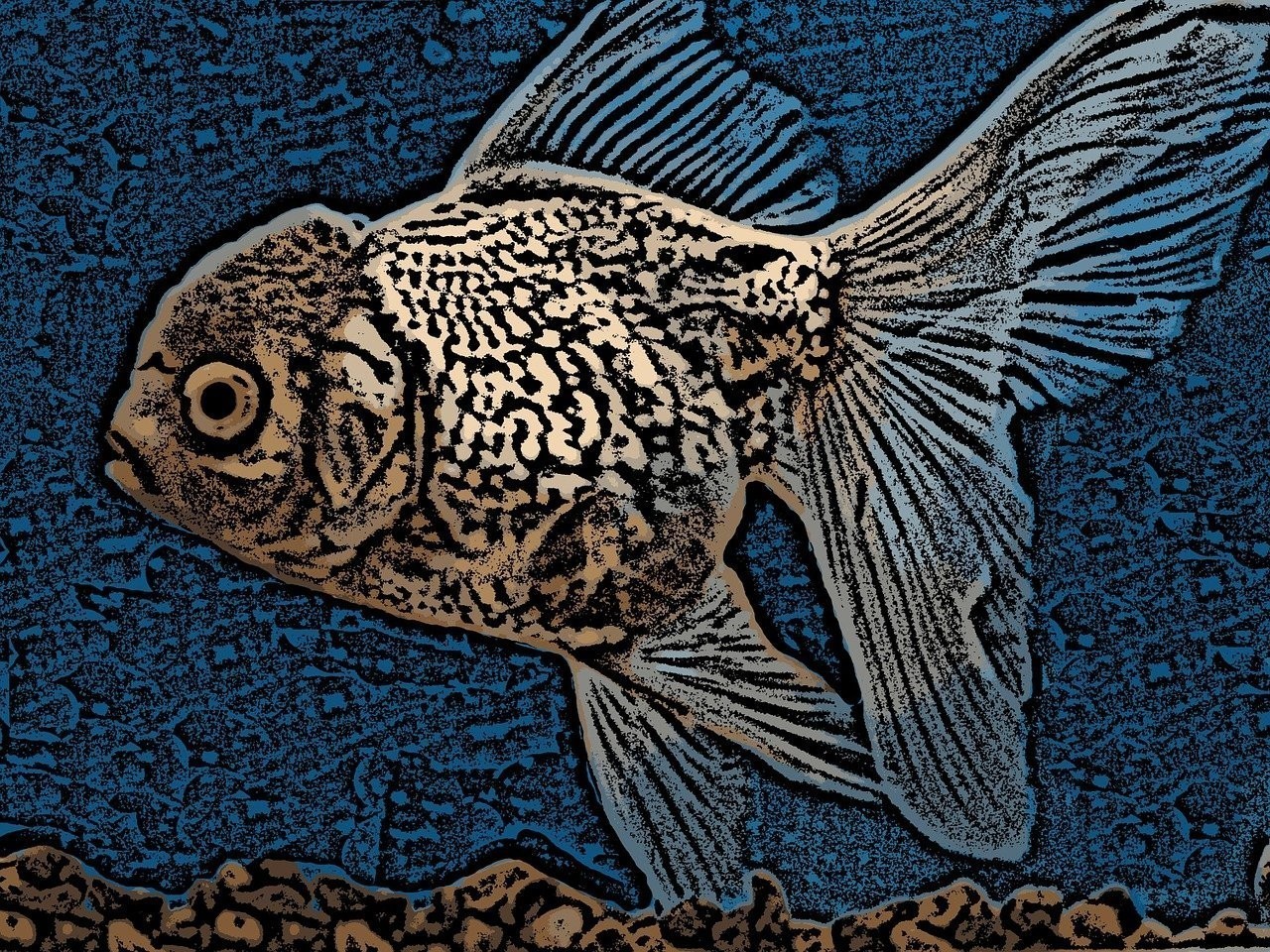雙線(xiàn)側(cè)魚(yú)能和金魚(yú)一起養(yǎng)嗎