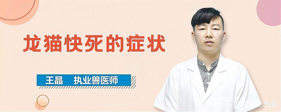 有哪些龍貓先天性疾病是致命的？