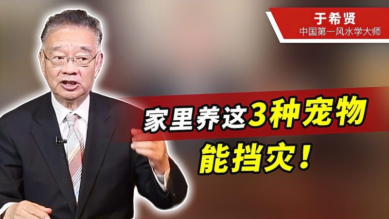 金魚擋災的10個跡象