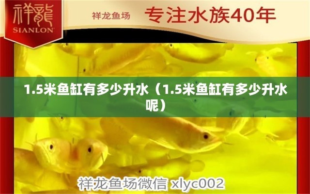 <strong><mark>惠山</mark></strong>區洛社鎮龍緣閣水族館（<strong><mark>惠山</mark></strong>區洛社鎮龍緣閣水族館電話）