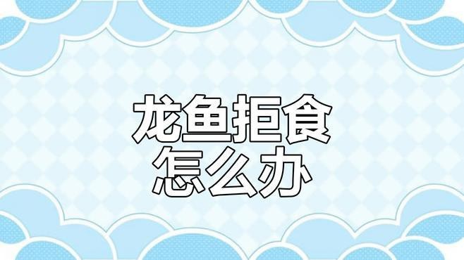 停食期間龍魚會排便嗎？ 停食期間龍魚會排便嗎？ 龍魚百科 第1張