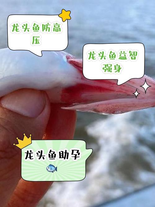 龍魚頭朝向正確圖解 龍魚頭朝向正確圖解 龍魚論壇 第24張