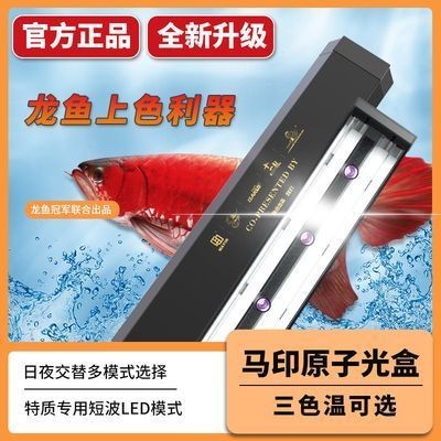 魚缸圖片 壁紙大全（魚缸壁紙選擇技巧pvc魚缸背景燈選擇技巧pvc魚缸背景制作教程）