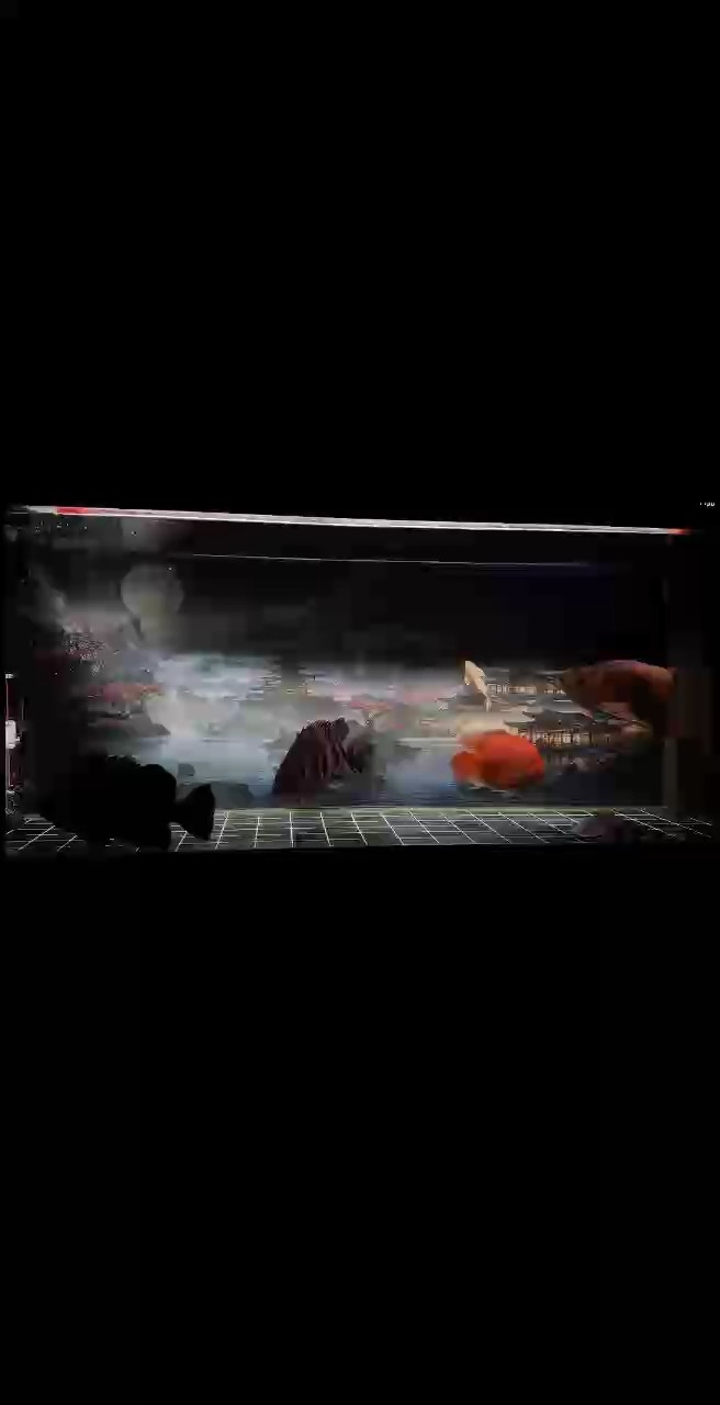 洗魚缸