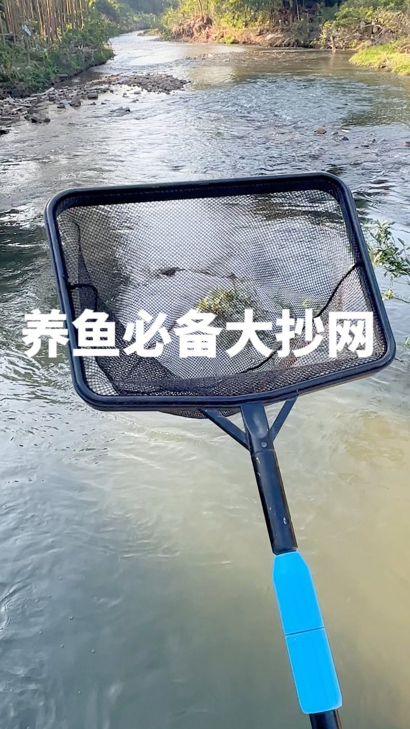 德國伊罕魚缸抄網魚撈水族魚