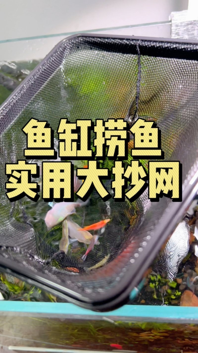 德國伊罕魚缸抄網魚撈水族魚