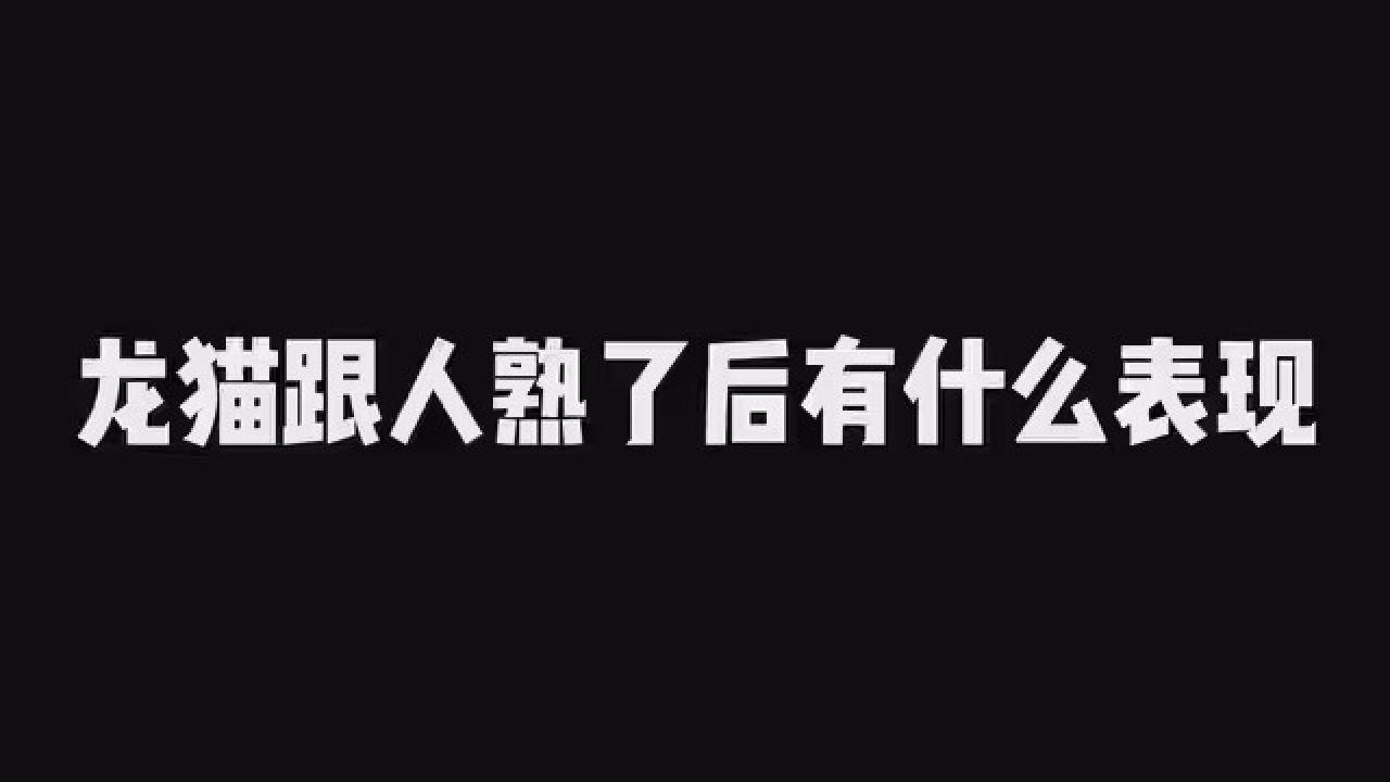龍貓親人后會有哪些表現？