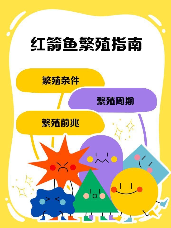 紅箭懷孕多久生小魚