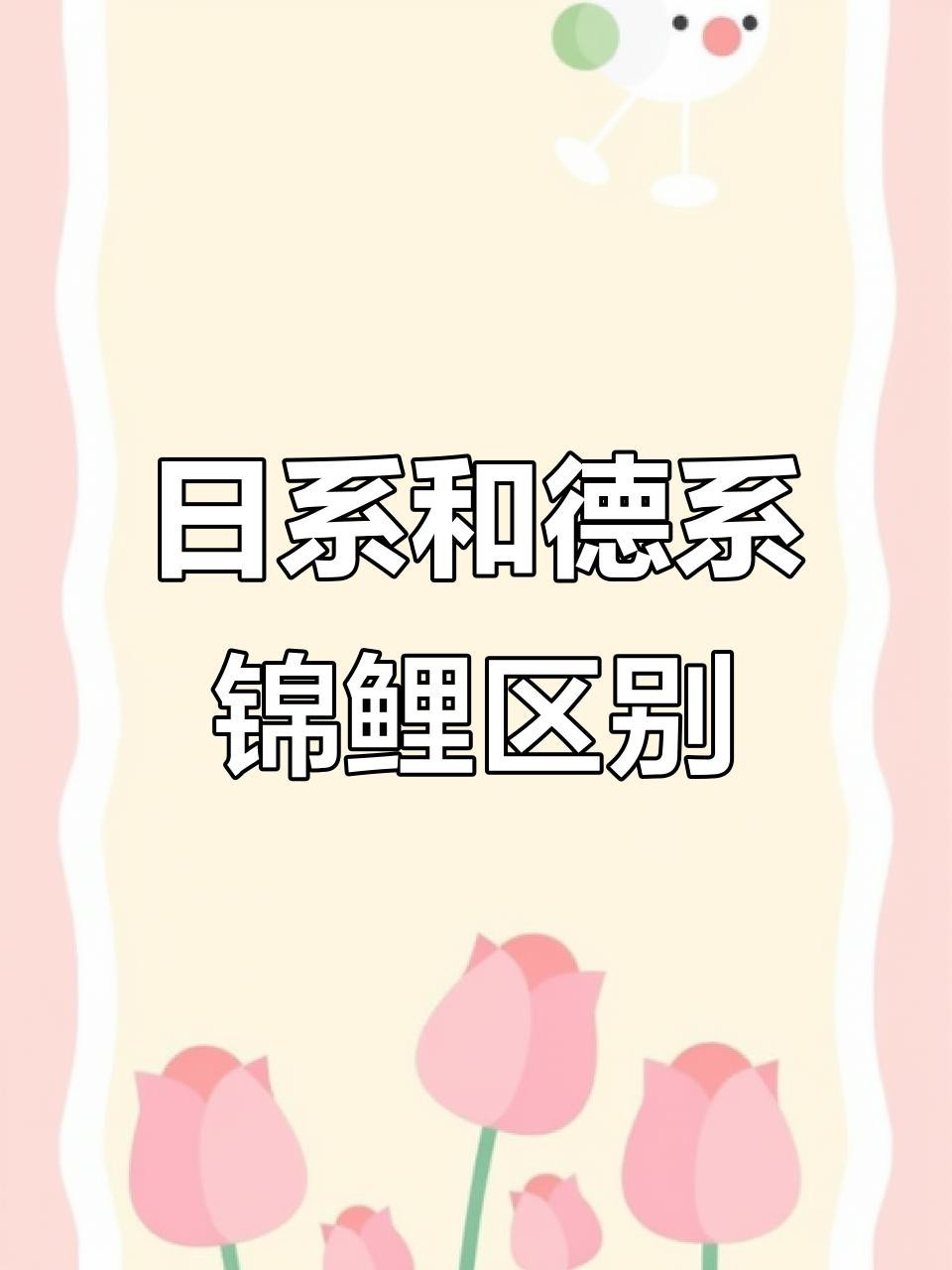 德系錦鯉屬于什么檔次 德系錦鯉屬于什么檔次 龍魚論壇 第10張