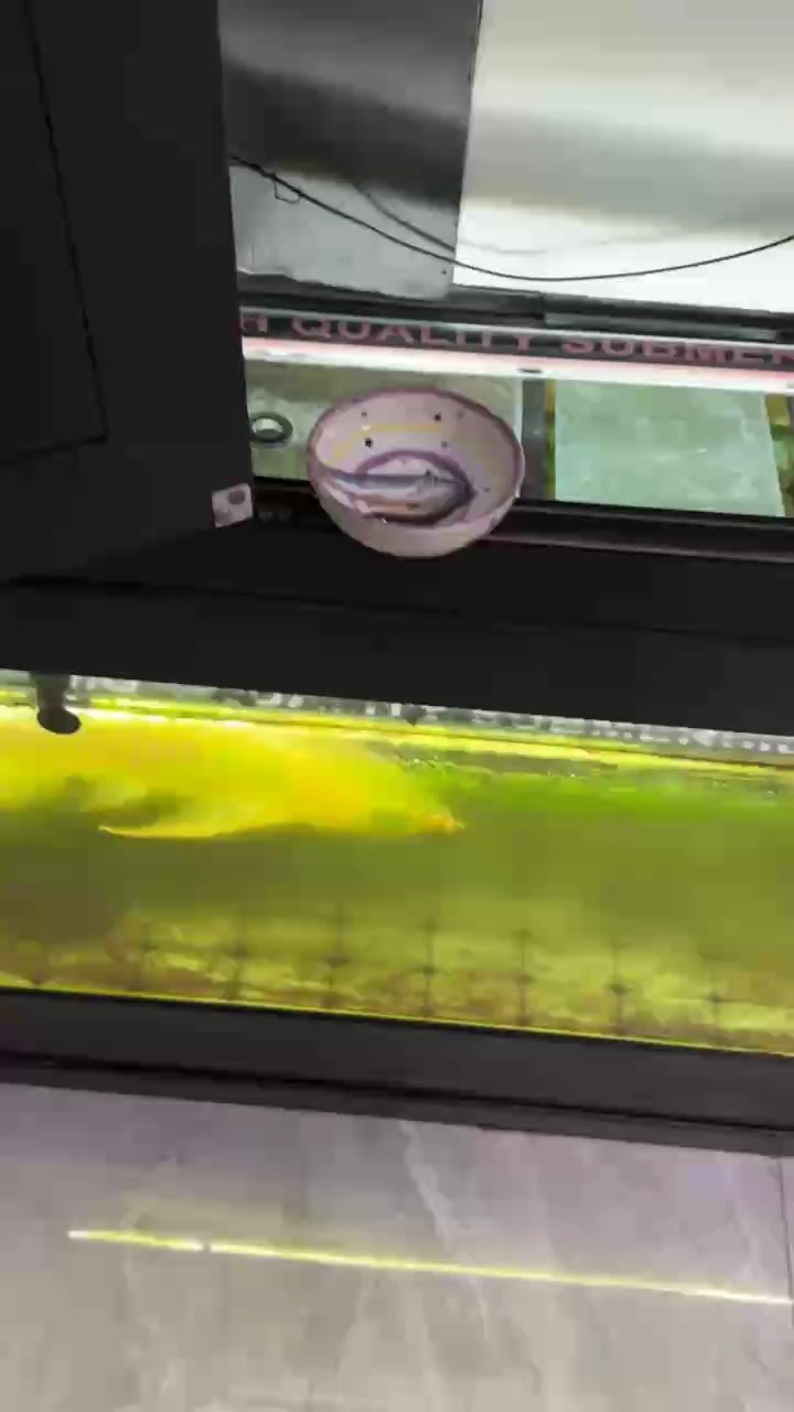 吃點小魚