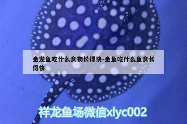 新鄉市平原示范區凱凱漁具店（新鄉市平原示范區凱凱漁具店電話號碼）