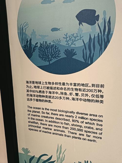 電鰻和鰻魚的區別圖片