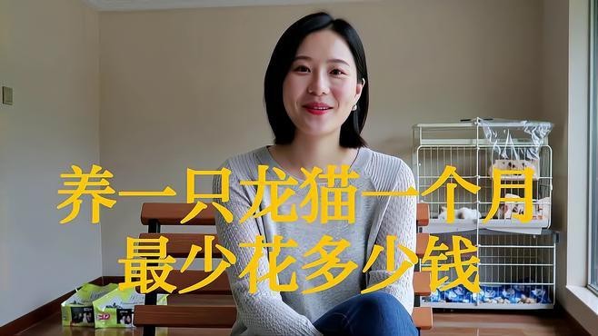 龍貓的飼養成本大概是多少？ 龍貓的飼養成本大概是多少？ 龍魚論壇 第1張