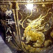 虎魚什么顏色最旺財