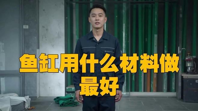 高端龍魚缸的材質有哪些選擇？