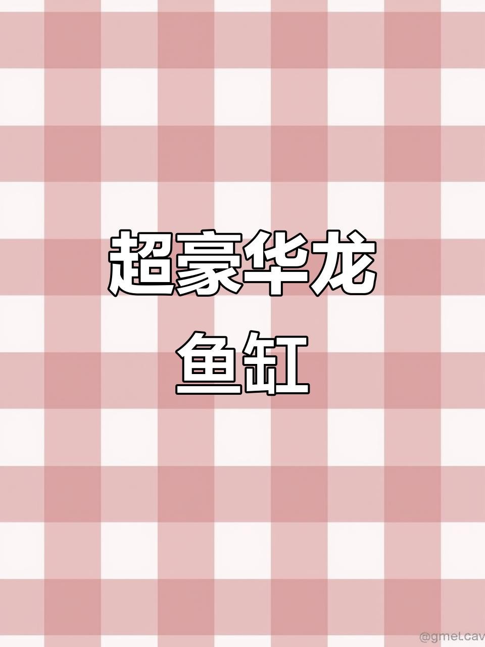 高端龍魚缸的材質有哪些選擇？